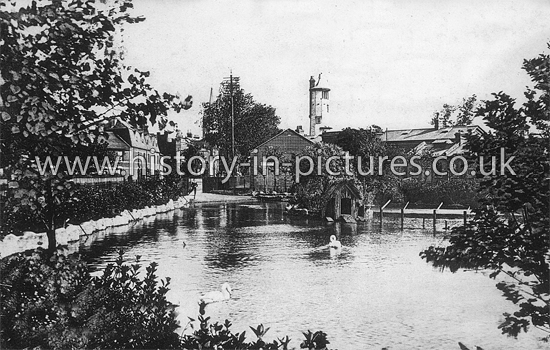 Cock's Pond, Harwich, Essex. c.1915